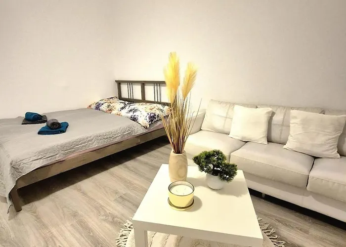 Nadherny V Ruzinove Lägenhet *